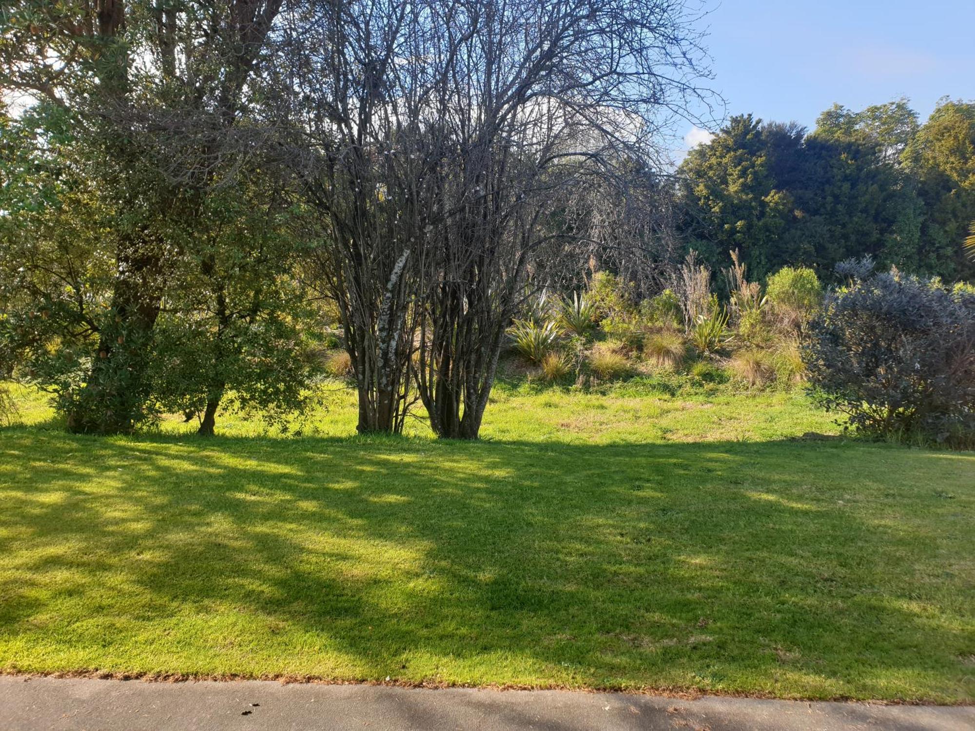 Otaki Motel Rom bilde
